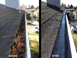 gutter cleaning Services in North Liberty