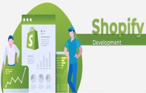 Shopify Expert Services