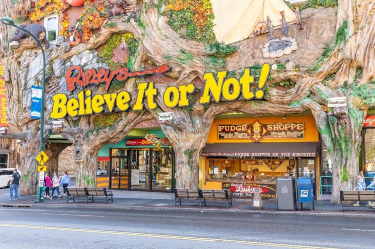 Essential Parenting Strategies for Enriching Family Vacations