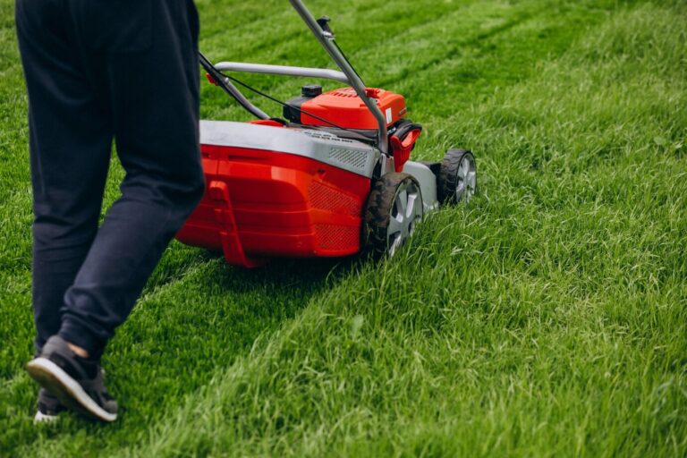Lawn Care In 2025