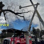 Mencer’s Tree Service
