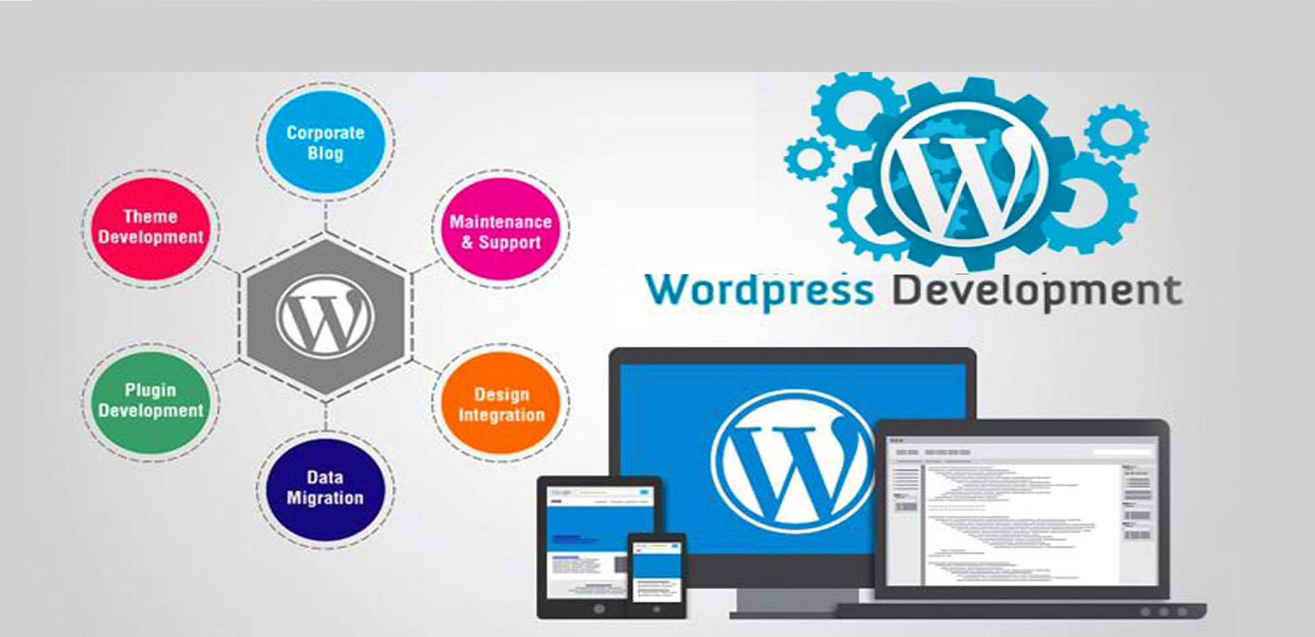 Cheap WordPress Website Development Services Karachi Pakistan